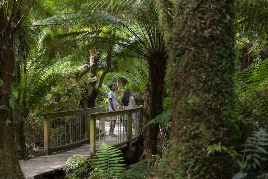 From Melbourne: 3-Day Great Ocean Road Grampians Tour - Should you book it?