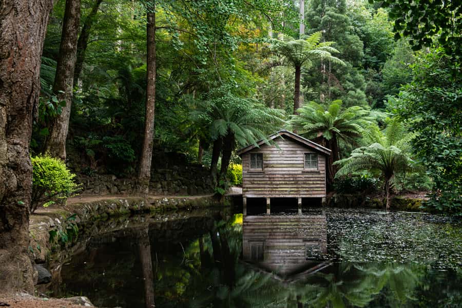 From Melbourne: Dandenong Ranges Private Day Tour - A cosy lunch stop, with food at your own cost