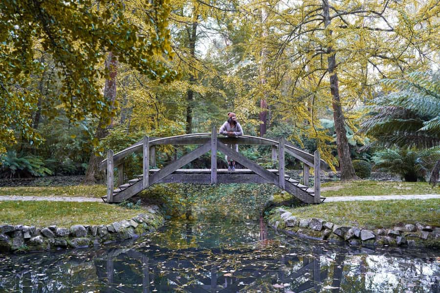 From Melbourne: Dandenong Ranges Private Day Tour - What Jay adds to the day