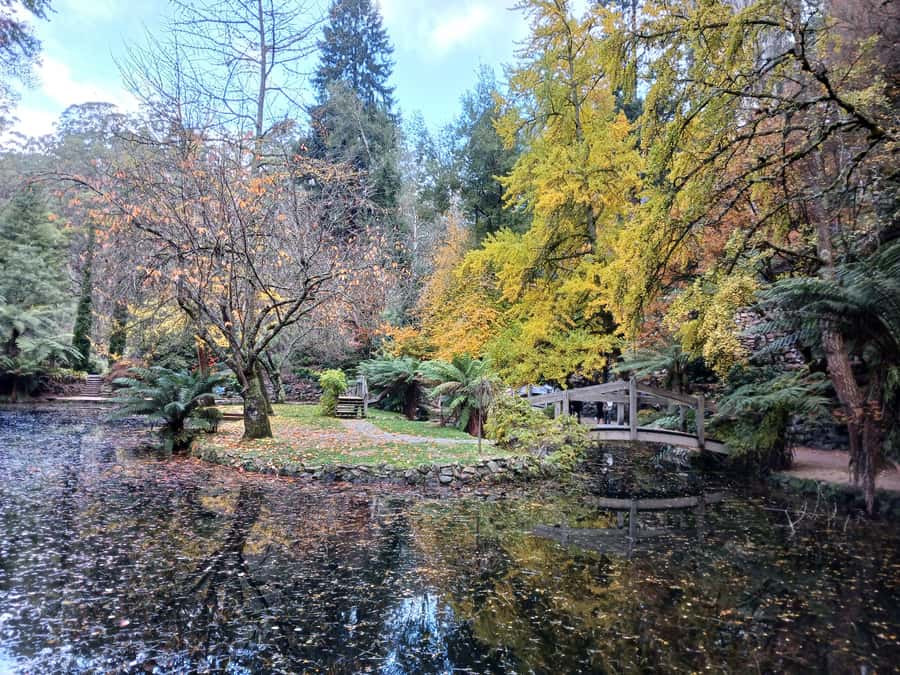 From Melbourne: Dandenong Ranges Private Day Tour - Is $247 good value?