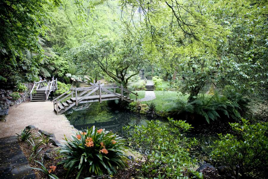From Melbourne: Dandenong Ranges Private Day Tour - Walking beneath eucalyptus and tree ferns