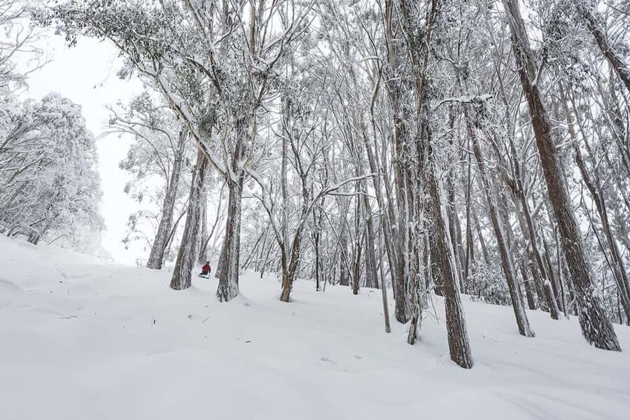 From Melbourne: Day Tour to Mt Buller with Snow Clothes - Should you book it?