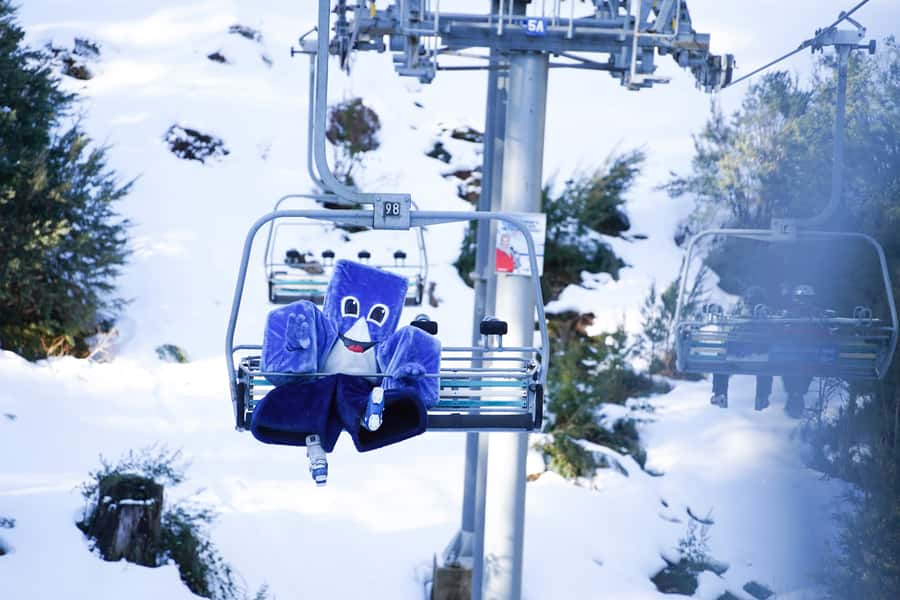 From Melbourne: Day Trip to Mt Buller by Premium Tour Coach - Why this Mt Buller day trip works