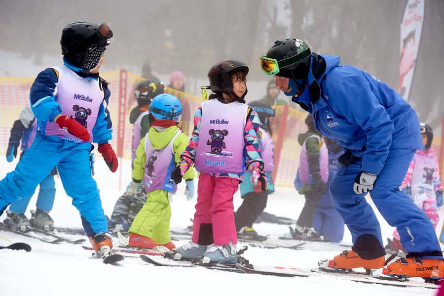 From Melbourne: Day Trip to Mt Buller by Premium Tour Coach - The climb into Victoria’s High Country