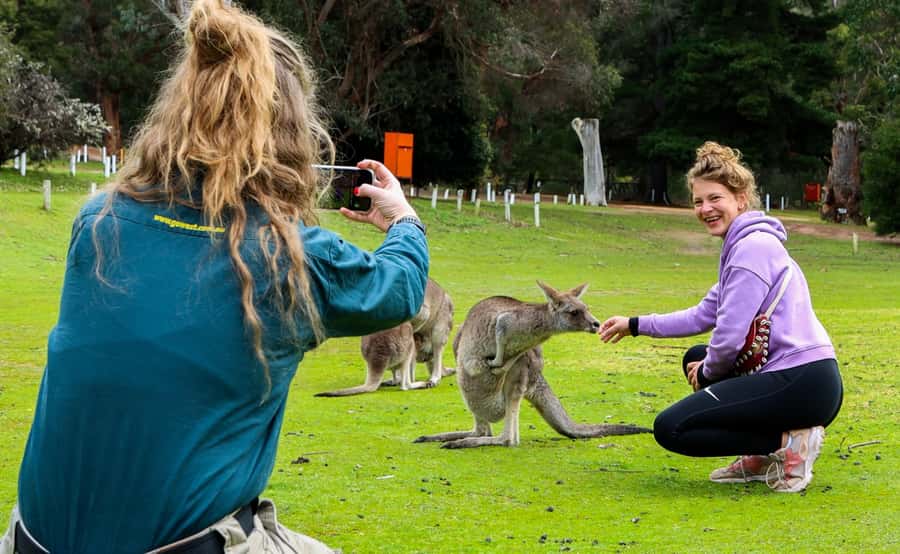 From Melbourne: Grampians National Park Group Tour - Halls Gap, kangaroos, and lunch