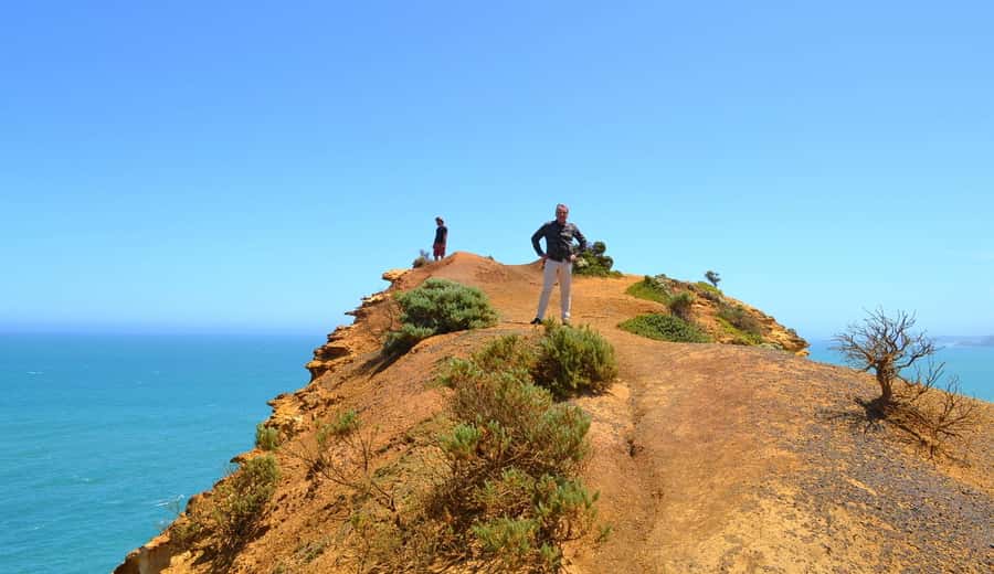 From Melbourne: Great Ocean Road Day Trip with Dinner - Key points to know before booking