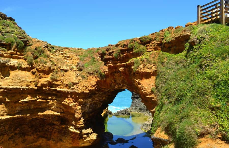 From Melbourne: Great Ocean Road Day Trip with Dinner - Maits Rest adds rainforest to a coastal day