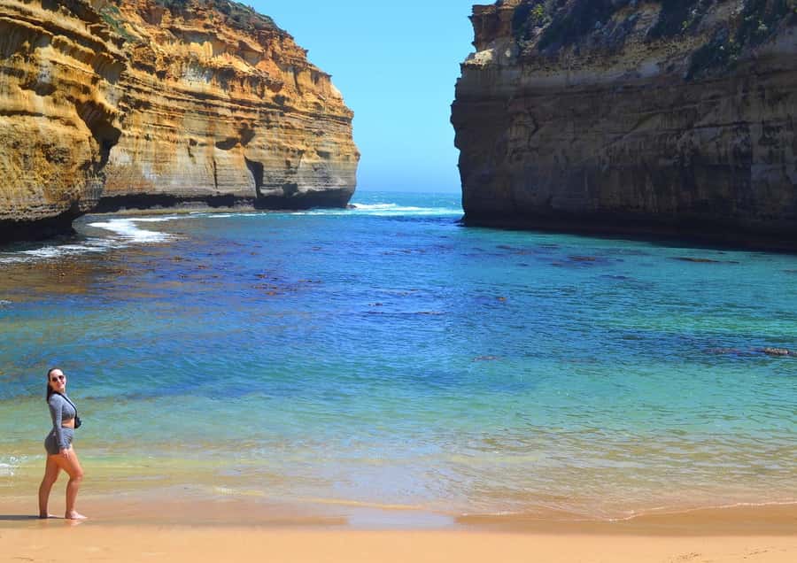 From Melbourne: Great Ocean Road Day Trip with Dinner - Kennett River combines wildlife and dinner