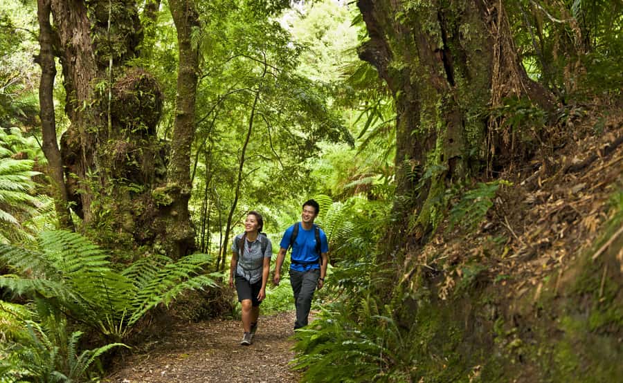 From Melbourne: Great Ocean Road Full-Day Guided Trip - Gibson Steps puts you closer to the water