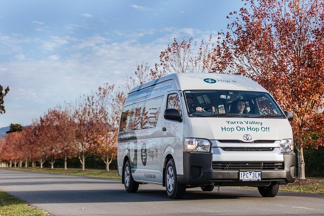 From Melbourne: Hop On Hop Off Yarra Valley - GREEN Route - Who will get the most from this tour