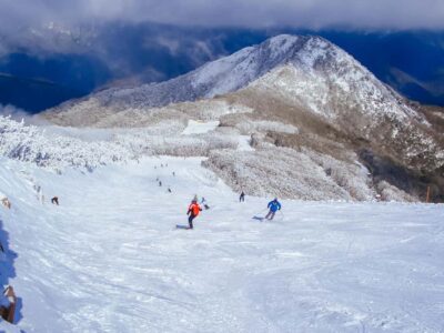 Mt Buller Scenic Snow Getaway Day Tour