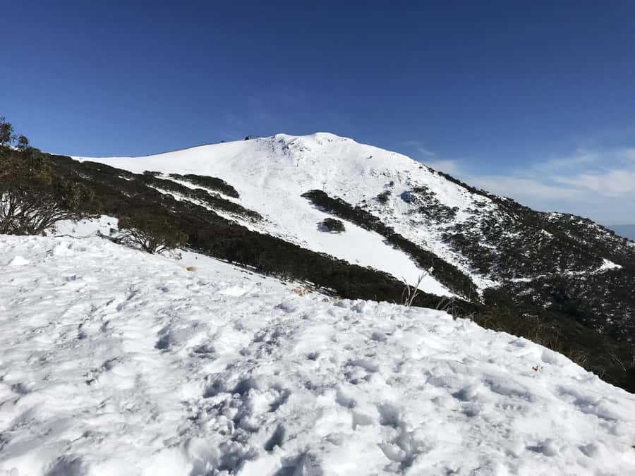 From Melbourne: Mt Buller Snow Day Small Group Boutique Tour - Mt Buller Village brings a Swiss-style pause