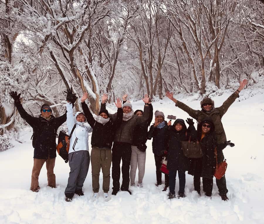 From Melbourne: Mt Buller Snow Day Small Group Boutique Tour - Is AUD 116 good value?