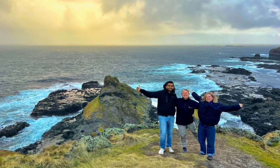 From Melbourne: Penguin Parade Afternoon Tour - The Nobbies: cliffs, ocean, and possible seals