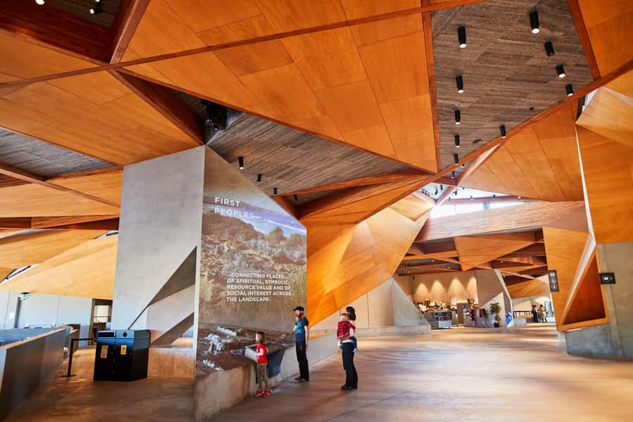 From Melbourne: Penguin Parade and Koalas Tour - Why the penguin parade is worth the late finish