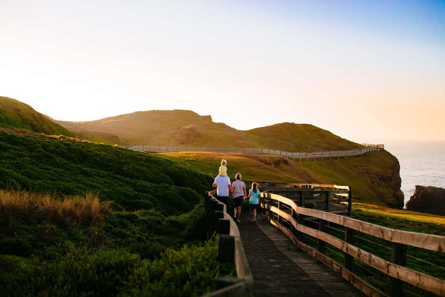 From Melbourne: Penguins and Wildlife Nature Day Tour - The Nobbies delivers the day’s best coastal views
