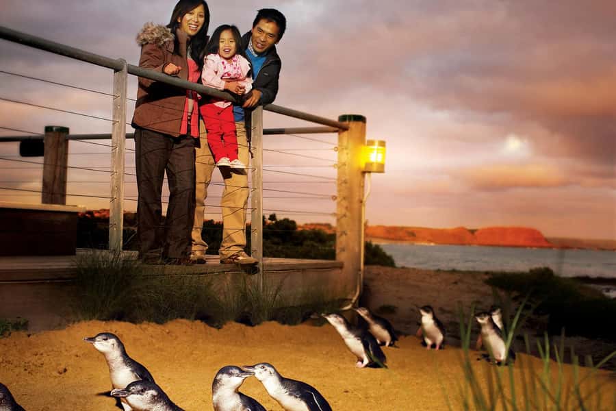 From Melbourne: Phillip Is Penguin Parade & Koala Reserve - Cape Woolamai brings surf and open beach
