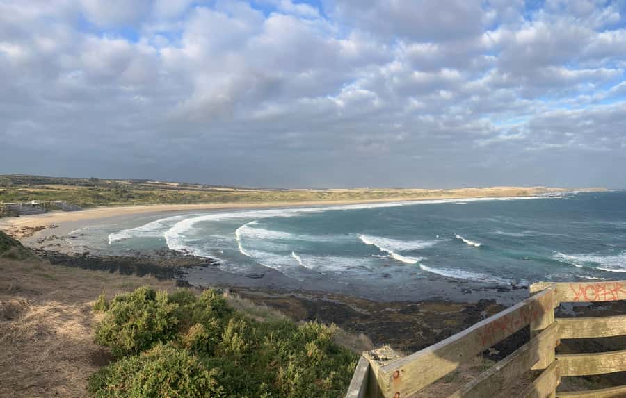 From Melbourne: Phillip Is Penguin Parade & Koala Reserve - Koalas at the Conservation Reserve