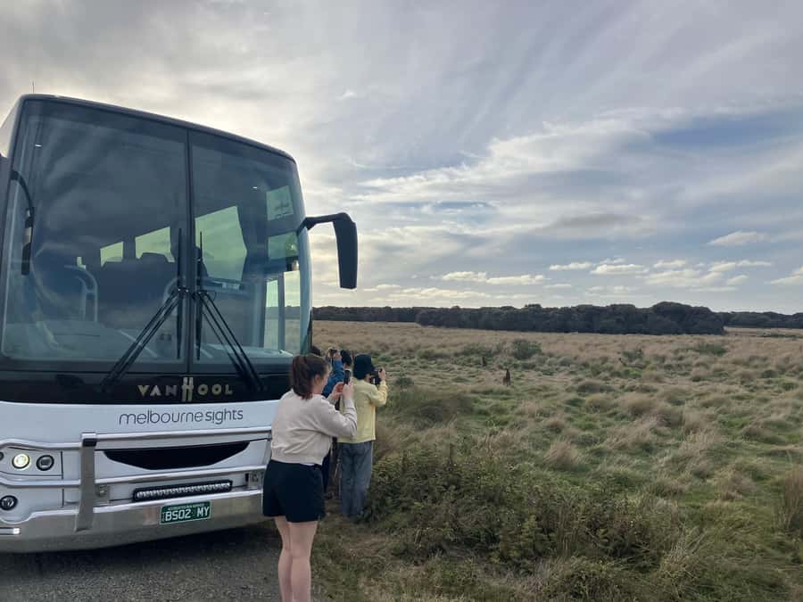 From Melbourne: Phillip Is Penguin Parade & Koala Reserve - What $107 includes, and what it does not