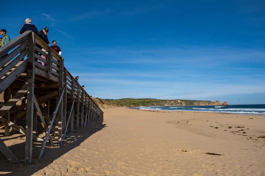 From Melbourne: Phillip Island and Penguin Parade Day Tour - The coach ride shapes the whole experience