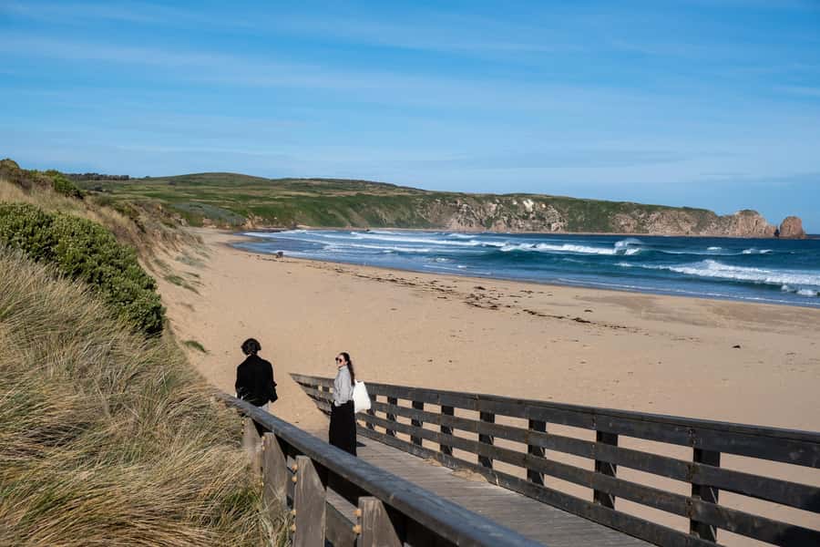 From Melbourne: Phillip Island and Penguin Parade Day Tour - Who will enjoy this Phillip Island day trip