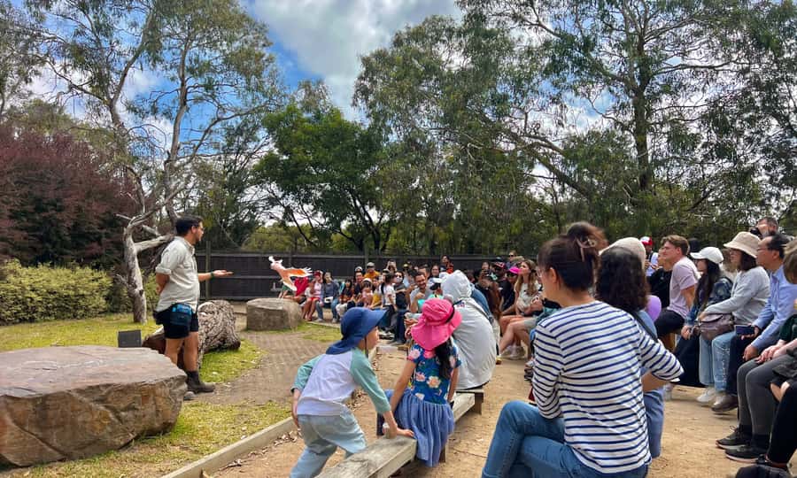 From Melbourne: Phillip Island Penguin Parade Eco Tour - The Nobbies, sea views and possible wildlife