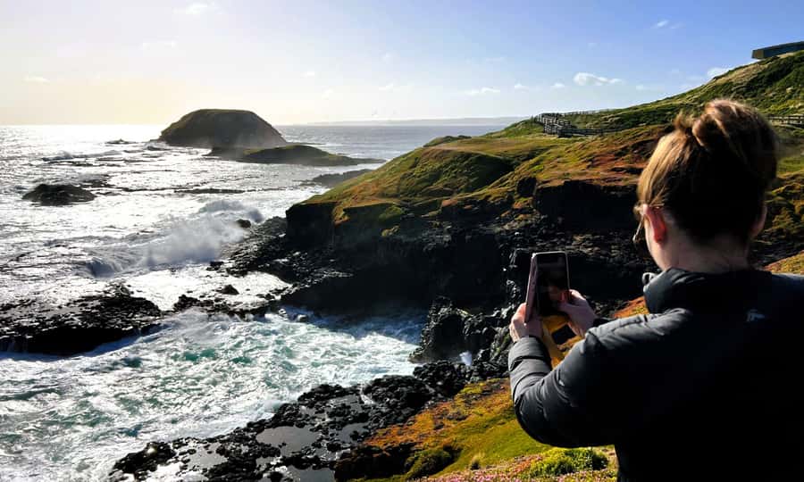 From Melbourne: Phillip Island Penguin Parade Eco Tour - The Penguin Parade, the reason most people book
