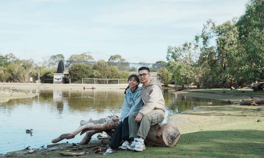 From Melbourne: Phillip Island Penguin Parade Eco Tour - Who will enjoy this tour most?