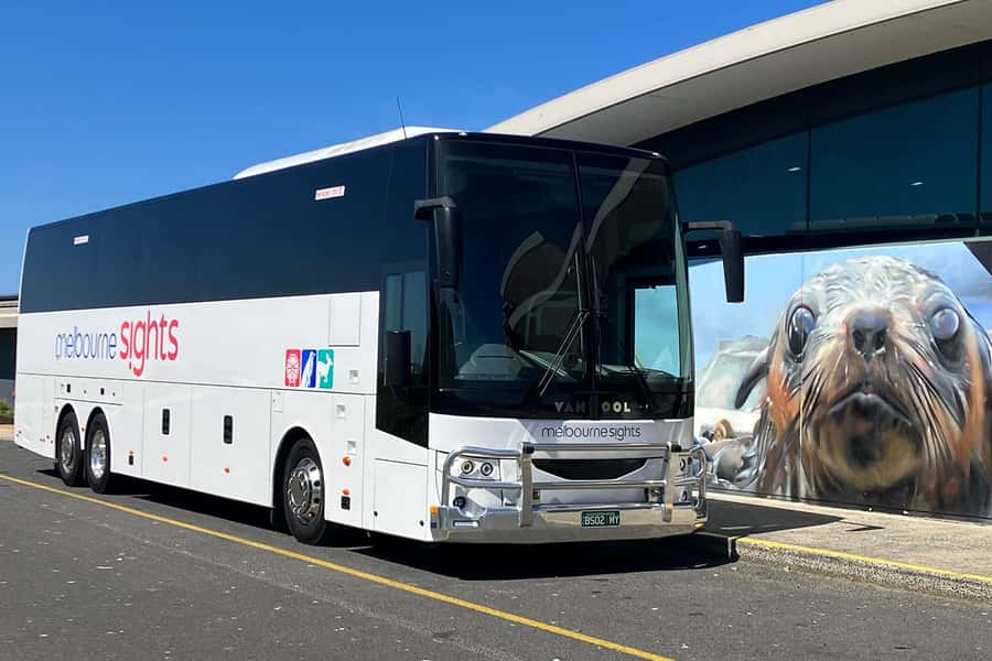 From Melbourne: Phillip Island Penguin Parade Express Tour - Choosing your place at the Penguin Parade