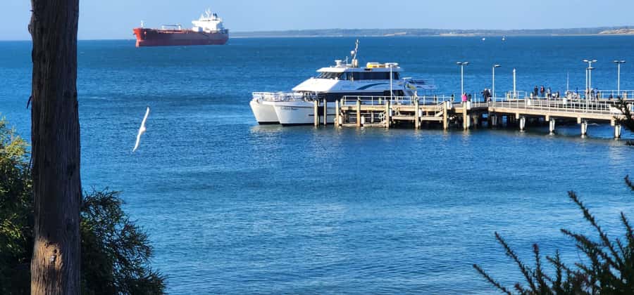 From Melbourne: Phillip Island Penguin Parade Private Tour - Phillip Island’s beaches and coastal views