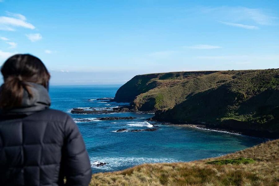 From Melbourne: Phillip Island Penguin Plus - Grandstand - Crossing to Phillip Island through San Remo