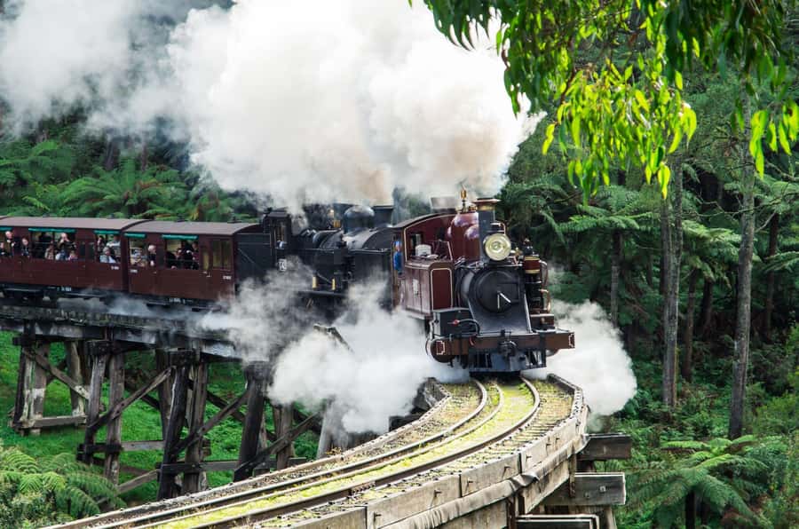From Melbourne: Puffing Billy and Penguin Parade Combo Tour - Why this Puffing Billy and penguin combination works
