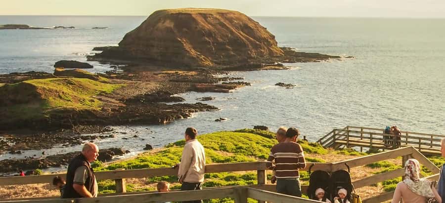 From Melbourne: Puffing Billy and Penguin Parade Combo Tour - Coastal views at the Nobbies