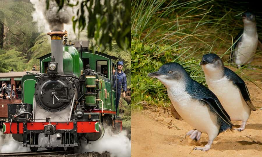 From Melbourne: Puffing Billy & Penguins Combo Tour Package - Riding Puffing Billy from Belgrave to Lakeside