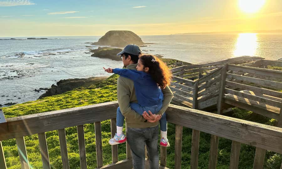 From Melbourne: Puffing Billy & Penguins Combo Tour Package - The afternoon trip to Phillip Island