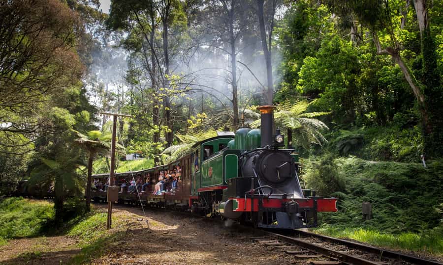 From Melbourne: Puffing Billy & Penguins Combo Tour Package - The late return and small practical issues