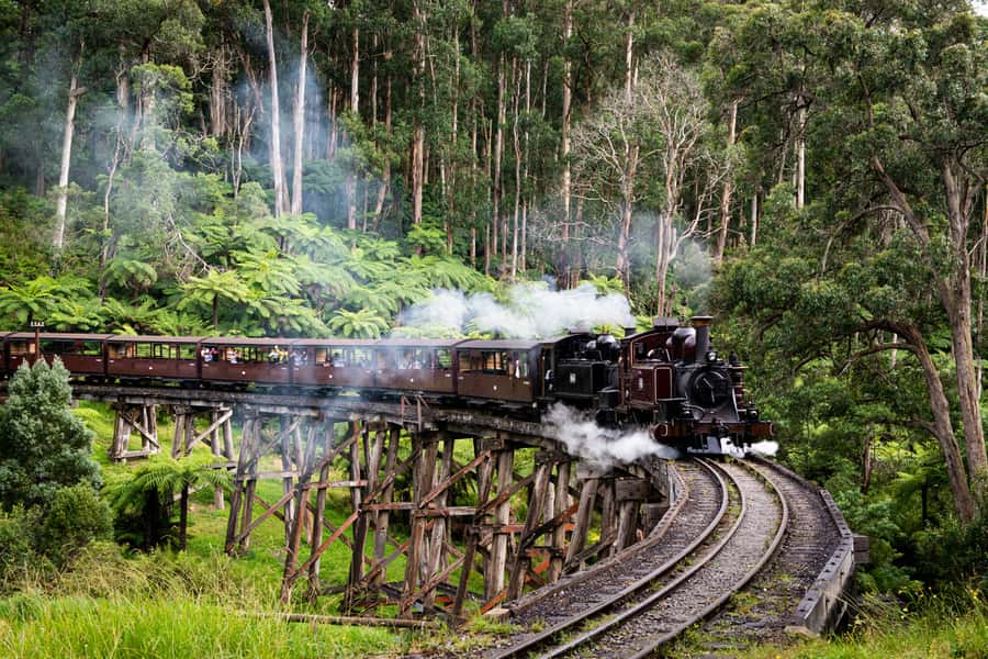 From Melbourne: Puffing Billy Steam Train & Wildlife Tour - Key points at a glance