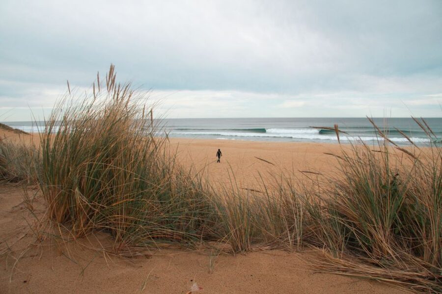 From Melbourne: Small Group Great Ocean Road Tour - Is $173 a good value?
