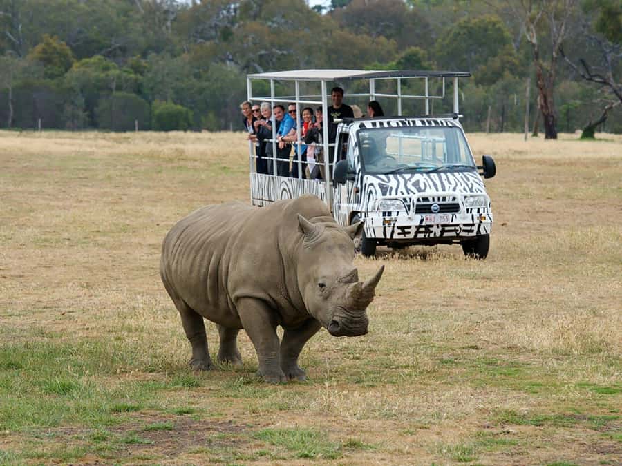 From Melbourne: Werribee Open Range Zoo & Werribee Mansion - Why this makes a good Melbourne day trip
