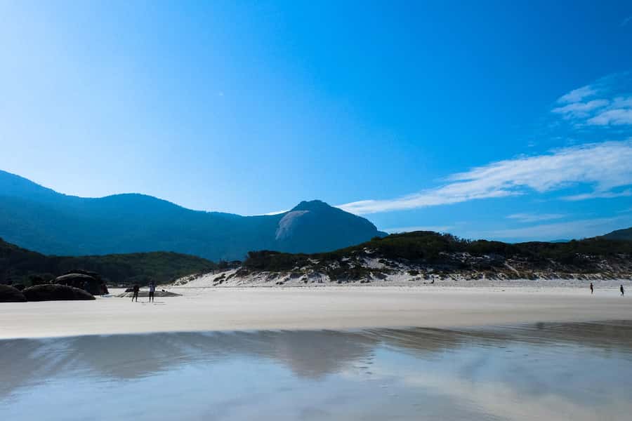 From Melbourne: Wilsons Promontory Small Group Day Tour - Squeaky Beach and the sound under your feet