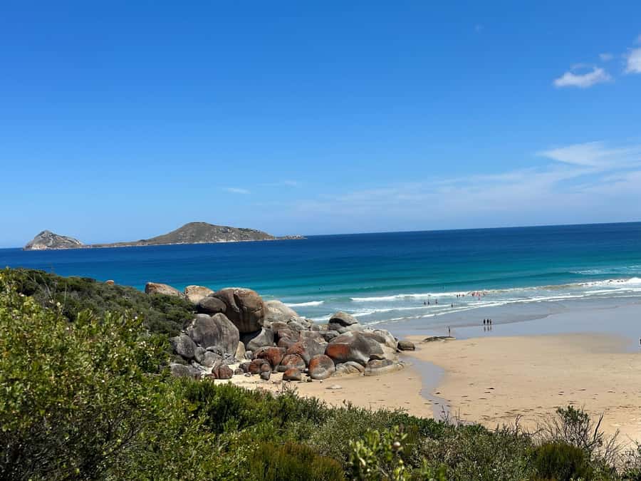 From Melbourne: Wilsons Promontory Wilderness Tour - Why Wilsons Promontory makes a strong day trip