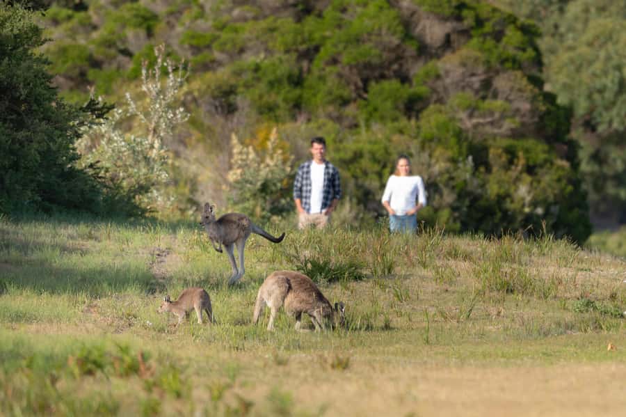 From Melbourne: Wilsons Promontory Wilderness Tour - Tidal River and the feel of the park