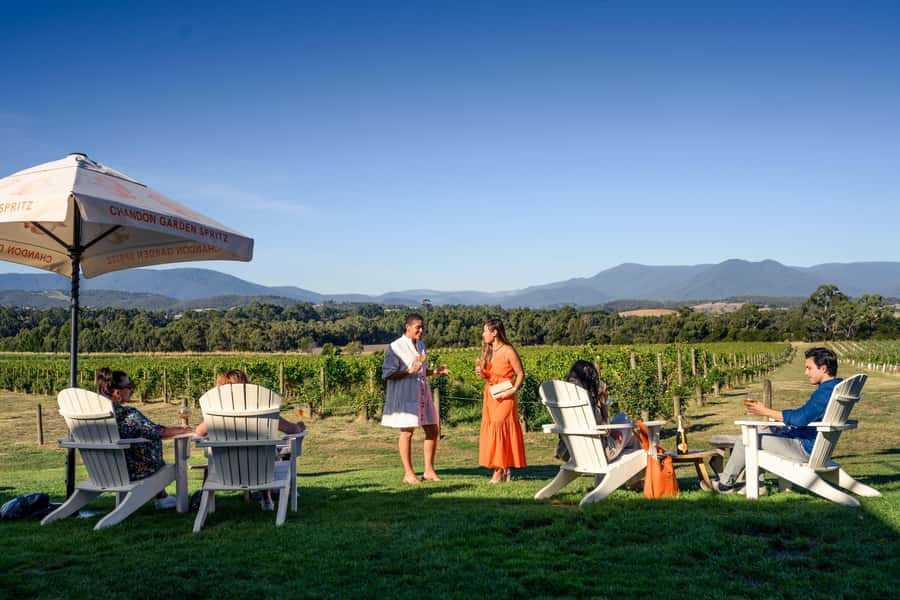 From Melbourne: Yarra Valley Hop-On-Hop-Off Bus Ticket - Why the driver-host can make or break the day