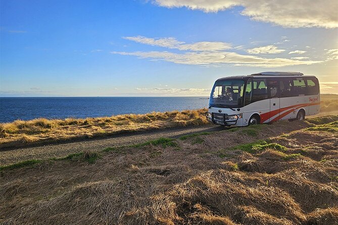 From Phillip Island: Wine and Wildlife Tour with Penguin Parade - Golden hour at The Nobbies