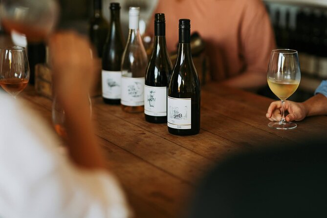 From Phillip Island: Wine and Wildlife Tour with Penguin Parade - Guide style and transport comfort