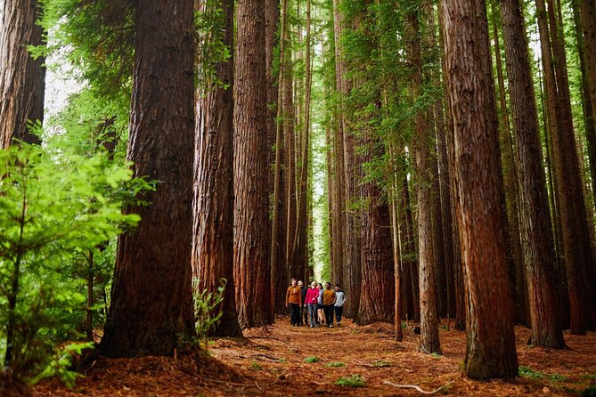 Fruit Picking & Nature Private Tour Yarra Valley & Warburton - A country day that keeps changing scenery