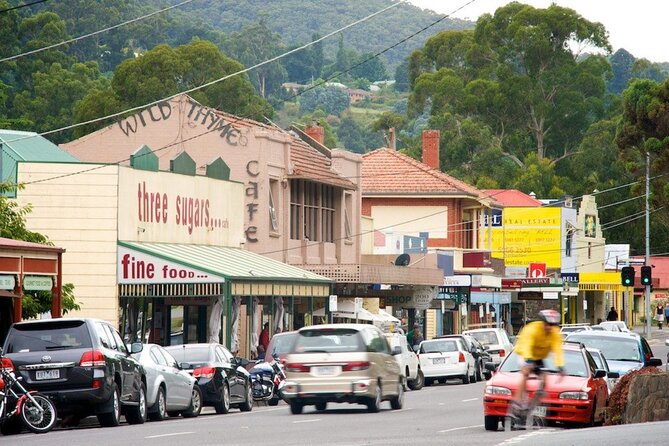Fruit Picking & Nature Private Tour Yarra Valley & Warburton - The guide and the feel of the day