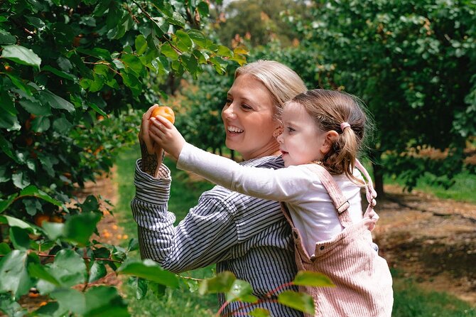 Fruit Picking & Nature Private Tour Yarra Valley & Warburton - Should you book the Yarra Valley and Warburton tour?
