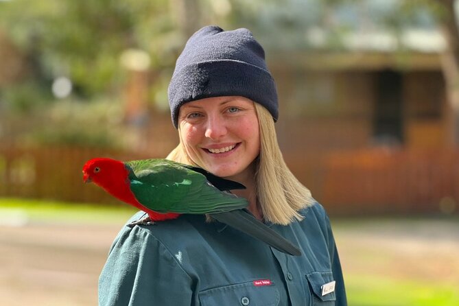 Full-Day Great Ocean Road and 12 Apostles Sunset Tour from Melbourne - The towns of Lorne, Apollo Bay, and Port Campbell