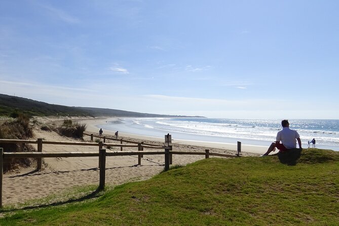 Full-Day Great Ocean Road and 12 Apostles Tour - Why this 13-hour route works